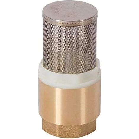 1 Stück 1/2'' Rückschlagventil mit Sieb, Rückschlagventil für Pumpe (1/5)