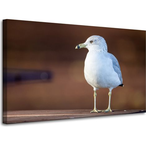 Leinwanddruck Tiere Weiße Möwe 100x60 cm