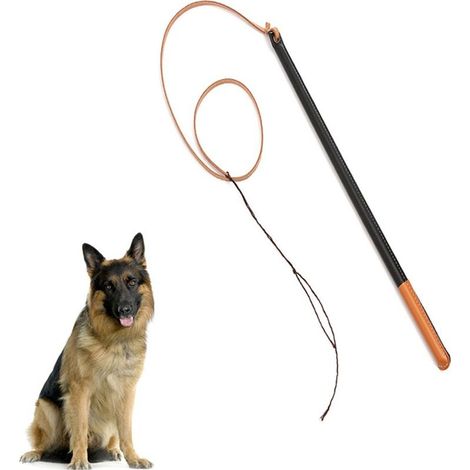 Fouet de dressage pour chien en similicuir professionnel – Eosnow – poignée ergonomique, longueur 90 cm, finition résistante (1/5)