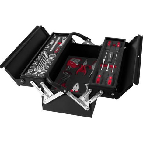 Caja BT48 con 48 herramientas de servicio (1/2)