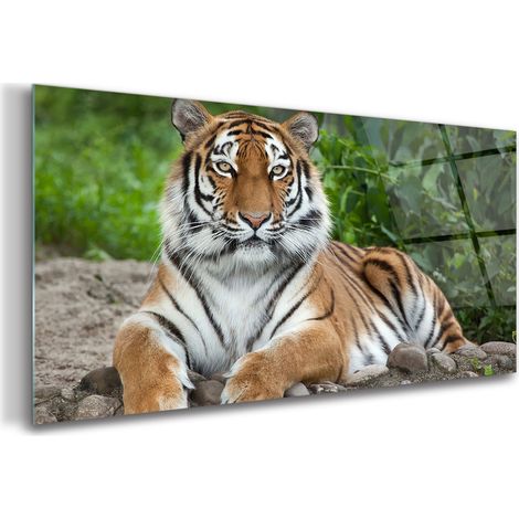 Tableau sur verre – 100 x 50 cm - Tableau mural décoratif - Verre Décorative - Animal Sibérien (1/5)