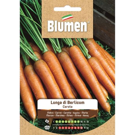 Semi Biologici per Orto CAROTA LUNGA
