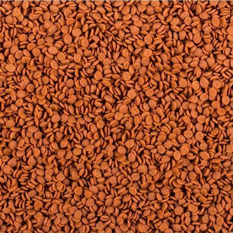 Esca morbida tropicale per carnivori africani, taglia M, 250 ml/130 g (1/2)