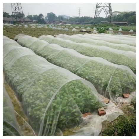 Filets pour Jardin, 2.5 10M Filet de Protection Anti-Insectes Filet à Insectes Moustique Oiseau Barrière, Filets Anti-Oiseaux en Maille Fine pour Légumes Plantes Fruits (1/4)