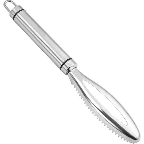 BEBUSINGOTO Descamador de pescado de acero inoxidable, descamador de pescado profesional, ayuda de cocina para una limpieza rápida de la piel del pescado en cocinas y restaurantes, color plateado. (1/5)