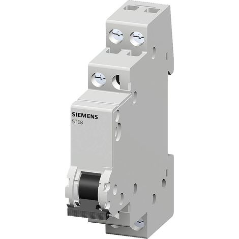 Interrupteur de contrôle gris 6 mm² 20 A 1 NO (T) Siemens 5TE8101 (1/2)
