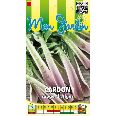 Cardon rouge D'Alger - 5g