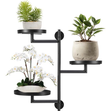 Estantería metálica giratoria de pared de 3 niveles para plantas (1/5)