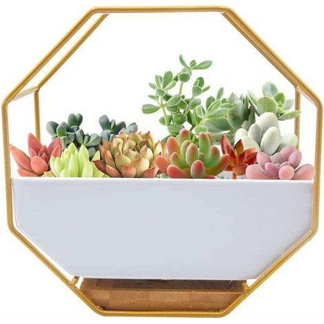 Green Mobility-Jardinière Murale Moderne en Fil de métal,Pot Plante Mural, De Fleurs à Suspendu Verre Mural JardinièRe Clair Vase pour Artificielles Fleur,Cactus,Succulentes,DéCor pour Salon Salle à M (1/5)