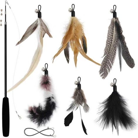 Canne à pêche pour chat avec 6 plumes de remplacement interactives et clochettes (1/5)
