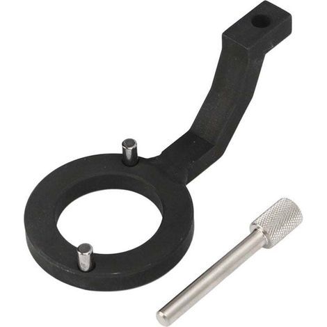 Outil de Verrouillage Pompe à Carburant Diesel 310212 Acier au Carbone Compatible Land Rover Discovery (1/4)