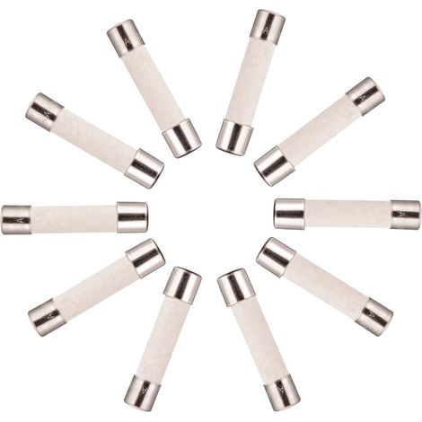 10x Fusible Temporisé (T) en céramique 10A / 250VAC 5x20mm (1/4)