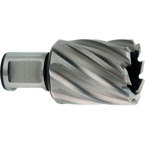 Trépan HSS 12 x 30 mm, queue Weldon 19 mm (3/4") metabo