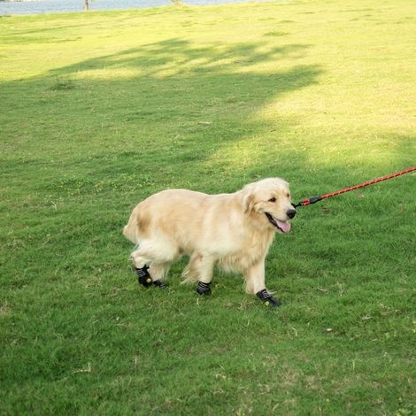 Chaussures pour chiens bottes imperméables pour chiens avec sangle réfléchissante semelle antidérapante robuste protecteurs de pattes pour animaux de compagnie 4 pièces (1/5)
