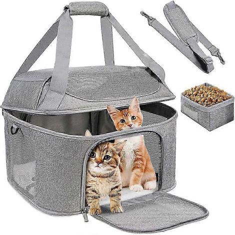 Sac à dos pour chien respirant, portable et pliable, approuvé pour le transport aérien, pour petits chiens et chats. (1/5)