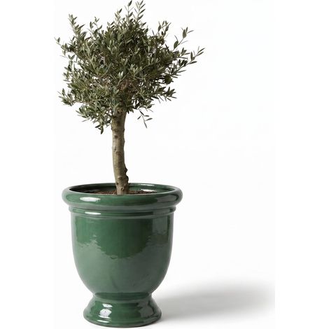 Lot olivier + pot grande taille TITAN 72x75cm jade, fait main en terre cuite émaillée