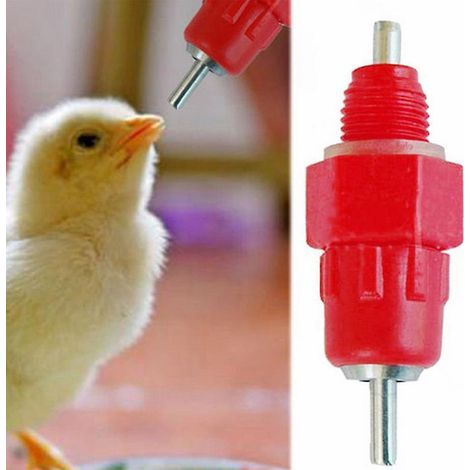 lot De 10 Abreuvoir Automatique Pour Poulets (1/5)