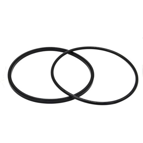 Deckeldichtung und O-Ring R0446200 kompatibel mit Zodiac und Jandy JEP Poolpumpen. (1/5)
