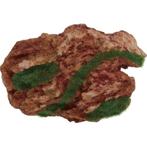 Déco idro kit Arizona décor qui pousse petit model 12 x 8.6 x 5 cm - zolux (1/5)