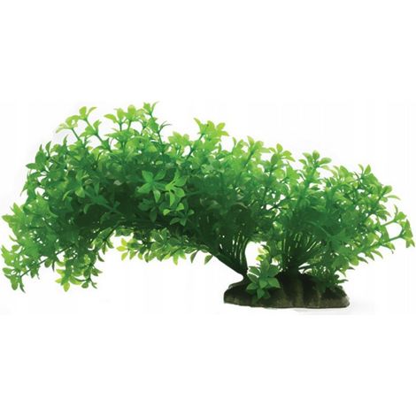 Pianta acquario Lamela plastica base stabile 23 cm