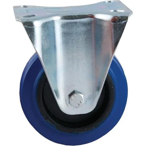 AVL ruota fissa blu 100 mm capacità 150 kg