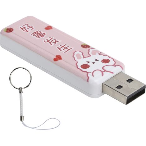 Clé USB Push-Pull 64Go, type USB 2.0, lecteur flash portable avec cordon, dispositif de stockage de données enfichable. (1/5)