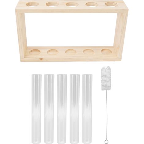 Lot de 5 tubes à essai terrarium transparent observation croissance plantes aquatiques support en bois pour herbes (1/5)