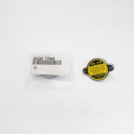 2533017000 Passend für Hyundai Getz 2006-2011 Abdeckungsbaugruppe Kühlkörper. (1/4)