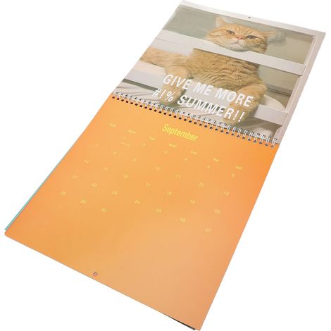 Calendrier Chats 2025 à fixer au mur (12 mois) - Décoration pour la maison ou le bureau - Idée cadeau (1/5)