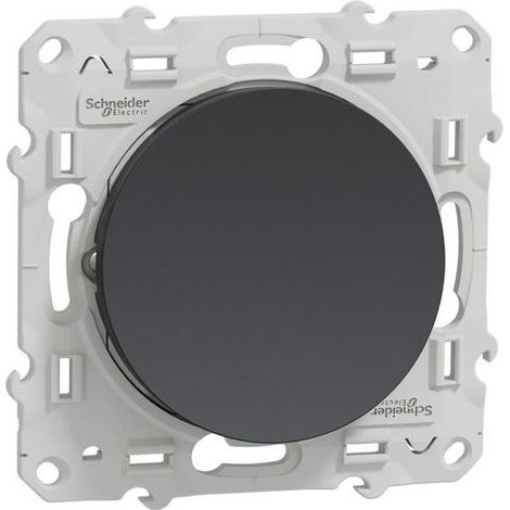 Schneider Electric Odace interruttore a doppio interruttore antracite 10A