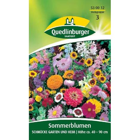 Quedlinburger Sommerblumen Schmücke Garten und Heim - Blumensamen (1/2)