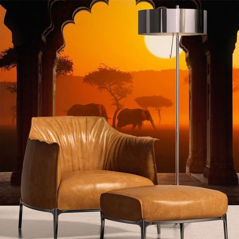 Papier peint entendre l'afrique - 400 x 309 cm (1/4)
