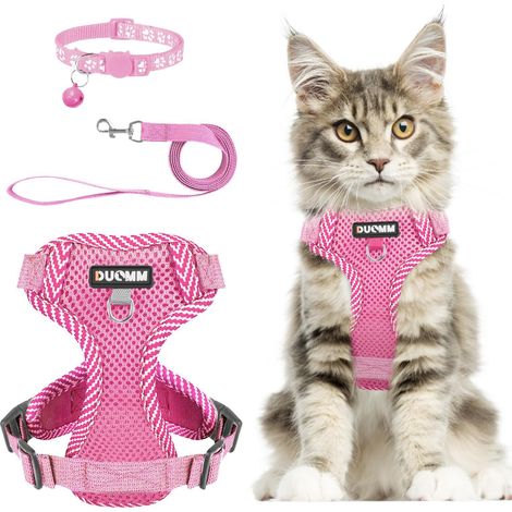 Harnais pour chat réglable avec laisse et collier, gilet de marche respirant anti-fuite pour chaton et petit chien (1/5)