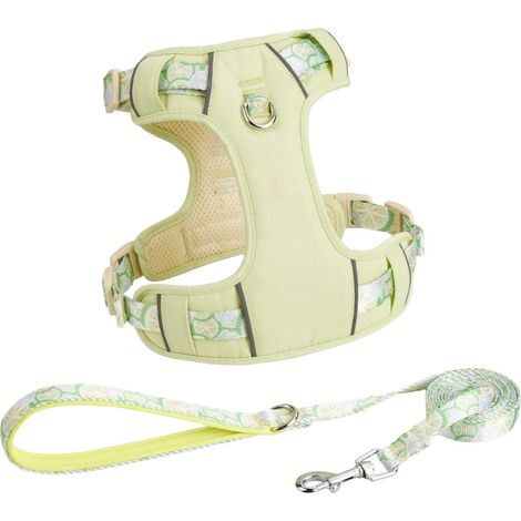 Laisse pour chien, gilet d'été, harnais respirant, laisse pour chiens de toutes tailles (Corgi/Bichon), laisse d'excursion verte XXS (tour de poitrine 84-109 cm, environ 2,5-5 kg), verte (1/5)