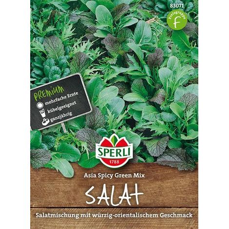 Sperli Asia-Salate Spicy Green Mix - Gemüsesamen (1/4)