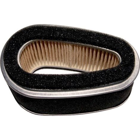 Filtro de aire p/Kawasaki 11013-2093 ALPINA FGP014104