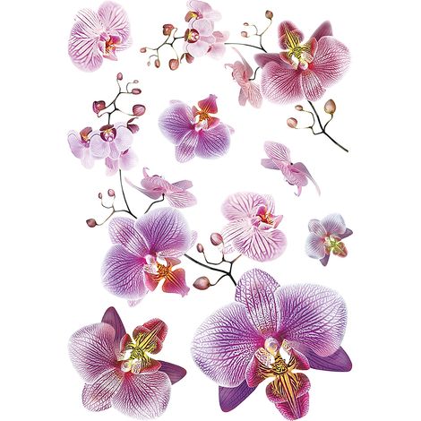 sticker mural fleurs rose et violet - Sanders & Sanders