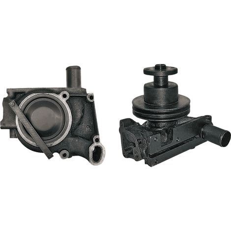 Pompa dell'acqua STEYR 8060 8070 8080 31100060034