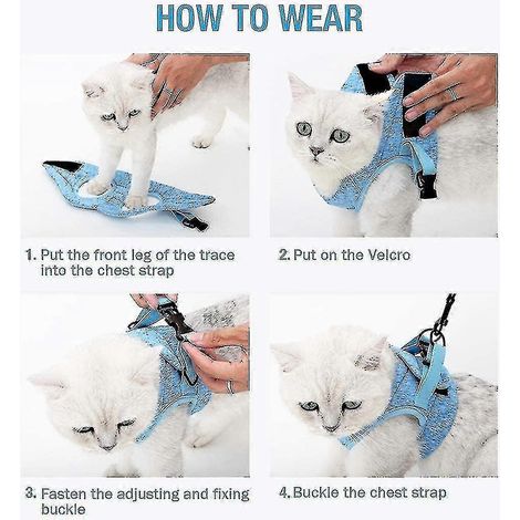 Harnais et laisse pour chat Strolls 360, harnais enveloppant pour petits chats et chiens (1/3)