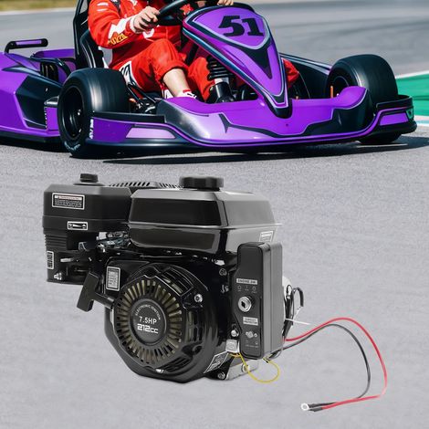 Motore a benzina da 210 cc, avviamento manuale/elettrico, monocilindrico a quattro tempi raffreddato ad aria da 7,5 CV, potenza di 2,8 kW, adatto per go-kart. (1/5)