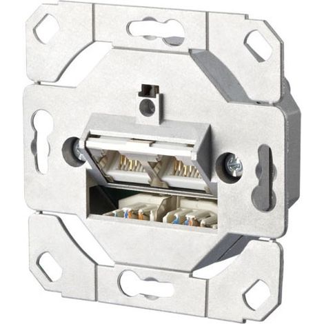 BTR NETCOM Anschlussdose C6A UP0 2xRJ45,UP0 TN EDATC6A-2UP0
