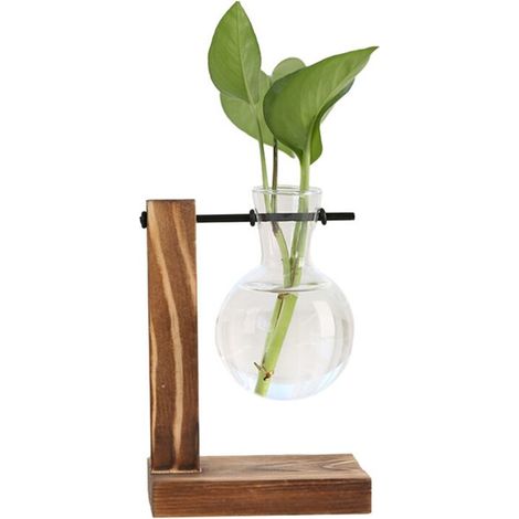 Terrarium de Bureau pour Plantes de Station de Propagation de Plantes, JardinièRe en Verre avec Support, Station de Propagation pour Plantes