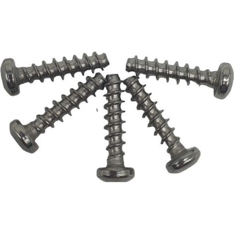Lot de 5 vis de remplacement pour poignée de robot piscine TigerShark - RCX12011 - Hayward