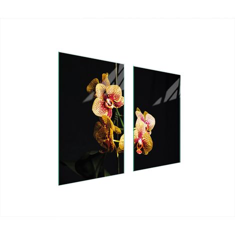 PIASTRA PROTETTIVA IN VETRO PER STUFA 75x52 ORCHIDEA (1/5)