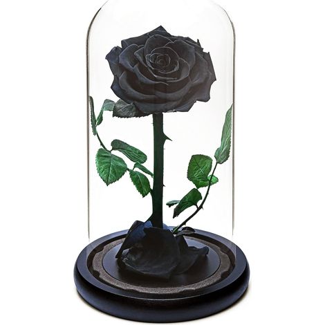 Rose éternelle sous Cloche en Verre Fleur Noire préservée Jusqu’à 5 Ans Cadeau fabriqué à la Main pour Femme Anniversaire Noël Fête des Mères Journée des Amoureux (Noire) (1/5)