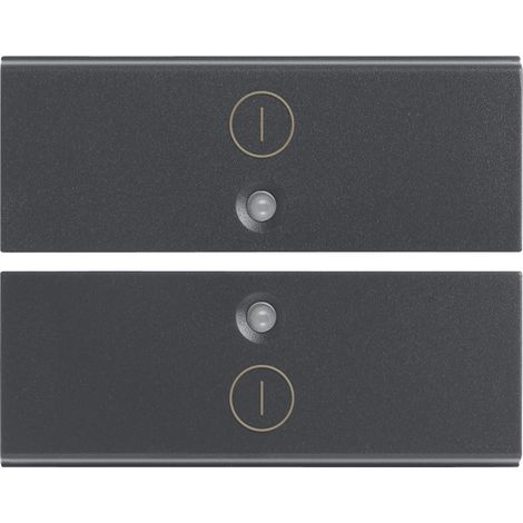 VIMAR - 16842.2 Zwei halbe Tasten 2M IO-Symbol grau