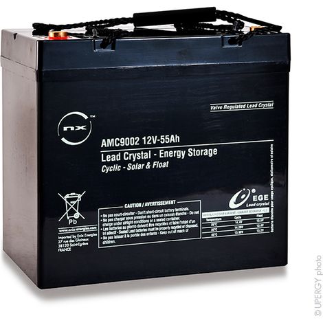 NX - Batterie lead crystal 6-CNFJ-55 12V 55Ah M6-F