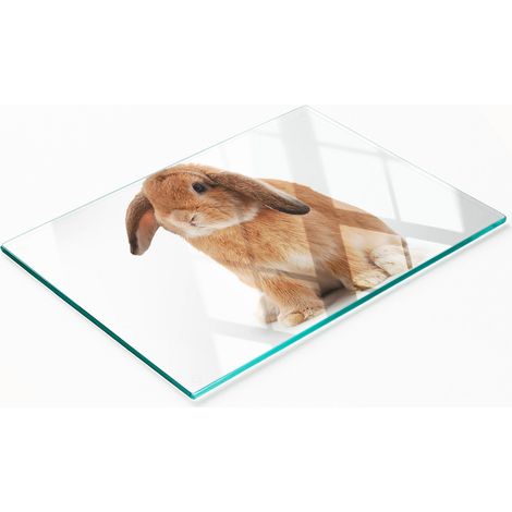 Tagliere da cucina decorativo in vetro con coniglio rosso, 80x52 cm (1/5)