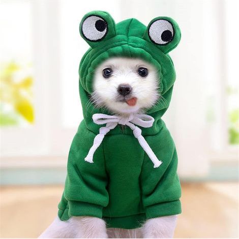 Hunde-Hoodie mit Taschen, warme Hundebekleidung - geeignet für kleine Hunde, Chihuahuas, Welpen und Katzen (S) (1/5)