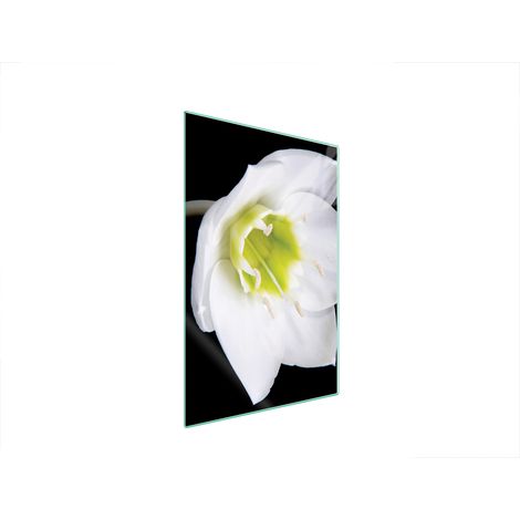 TABLA DE CORTAR DE VIDRIO 35x52 ORQUÍDEA (1/5)